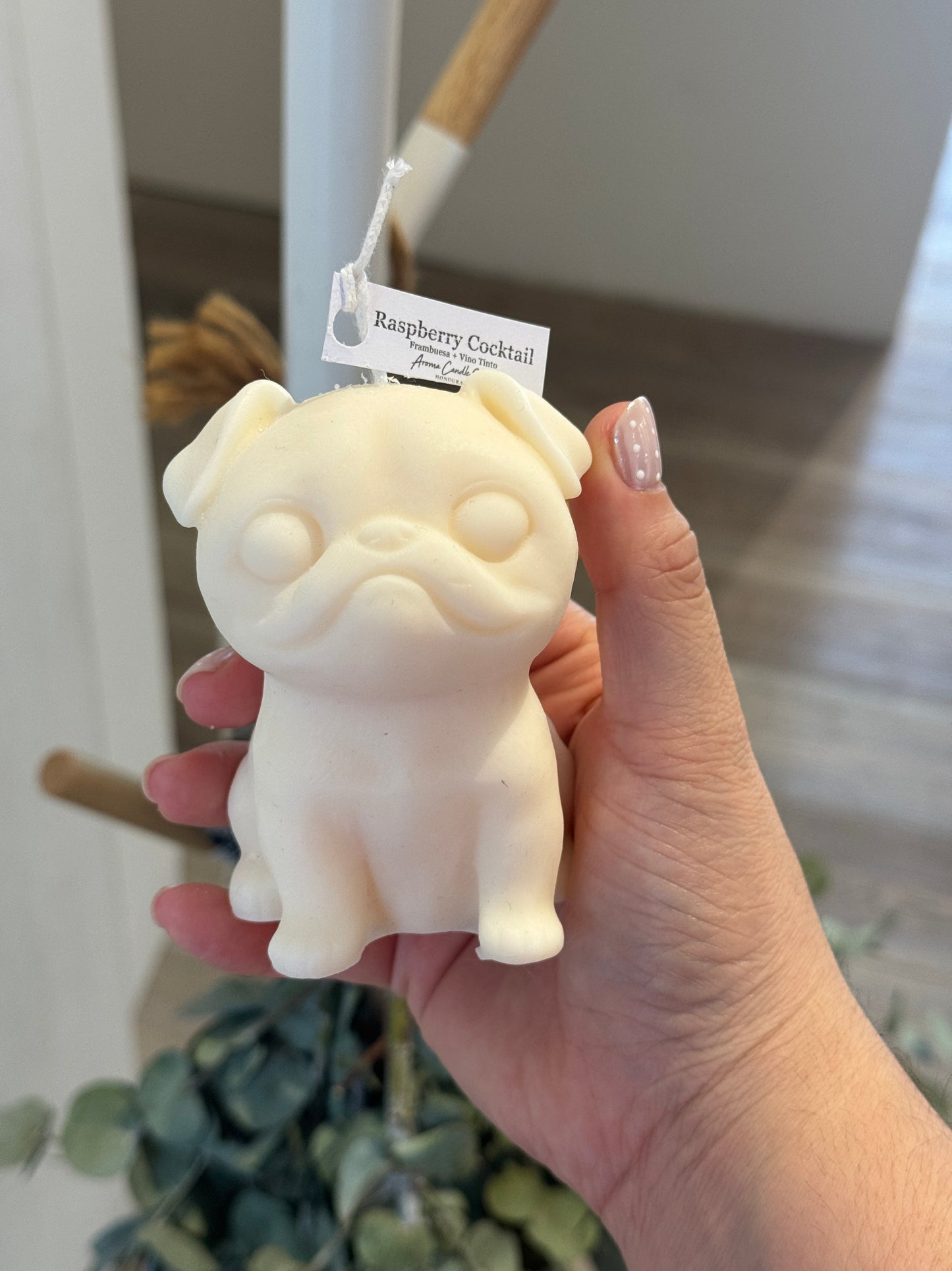 Pug