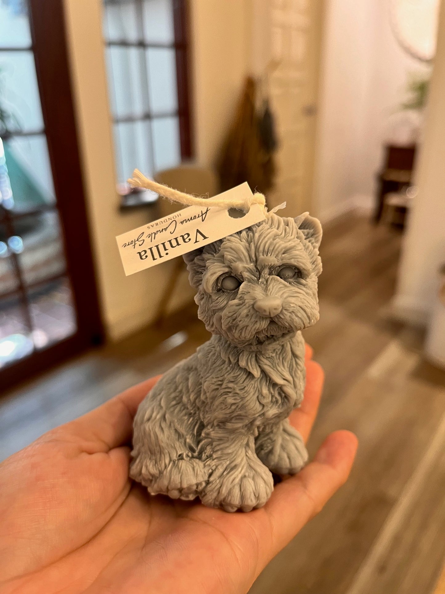 Yorkie