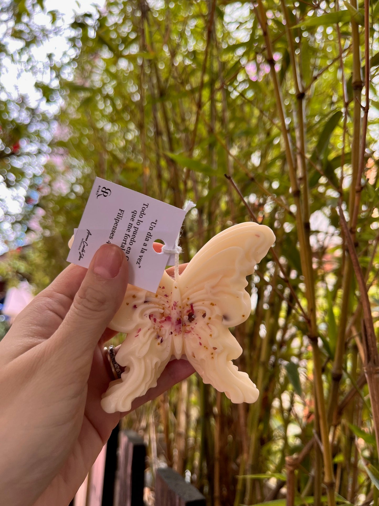 Mariposa x BORO