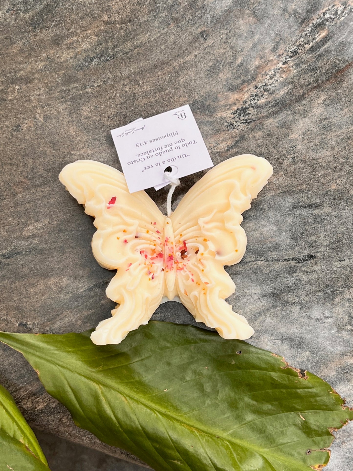 Mariposa x BORO
