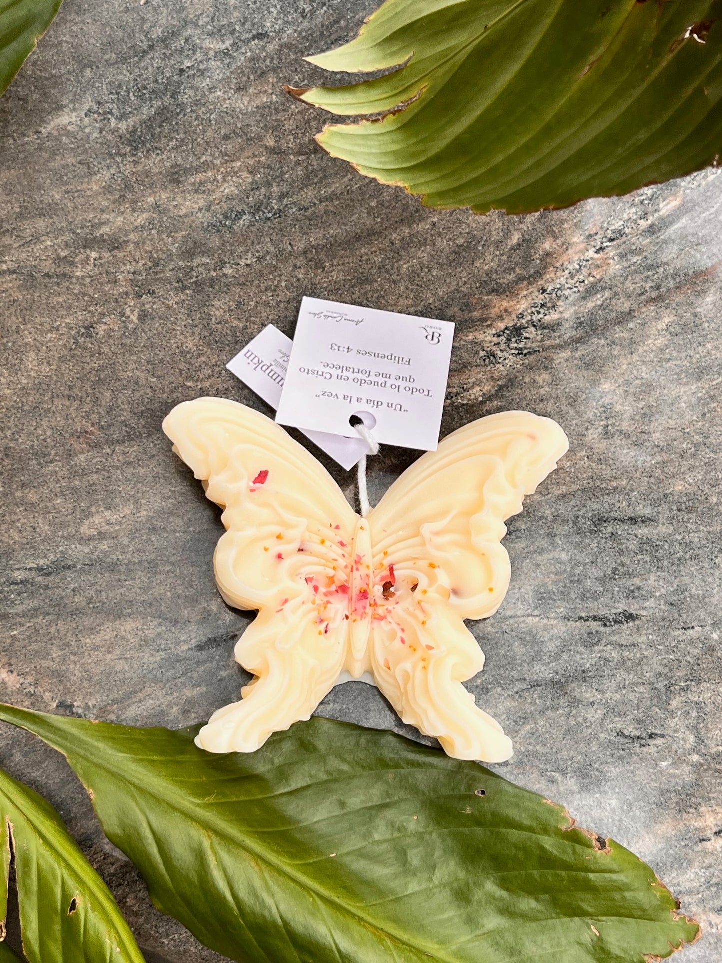 Mariposa x BORO