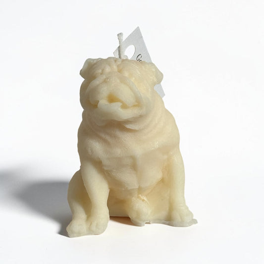 English Bulldog