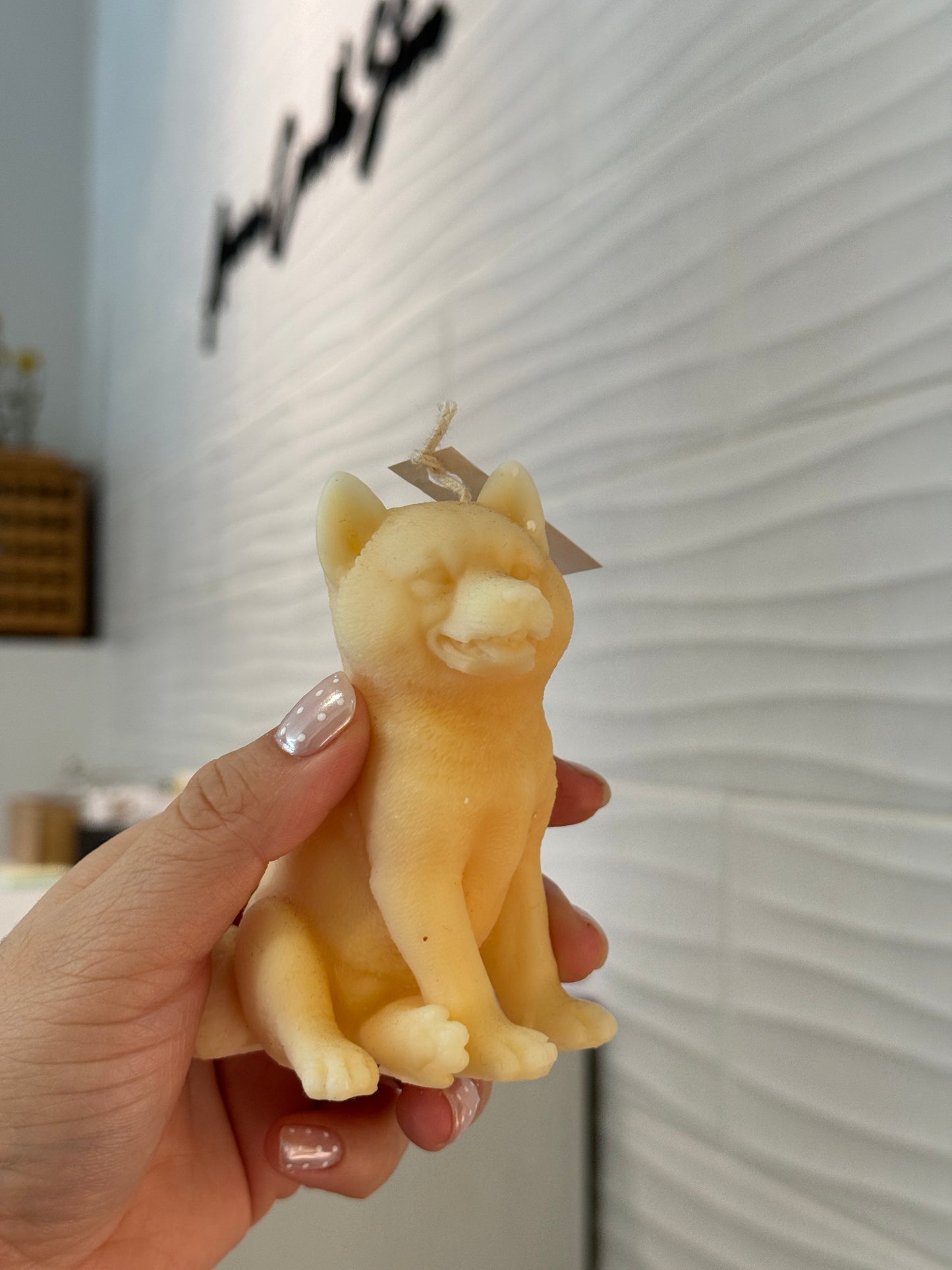 Shiba Inu