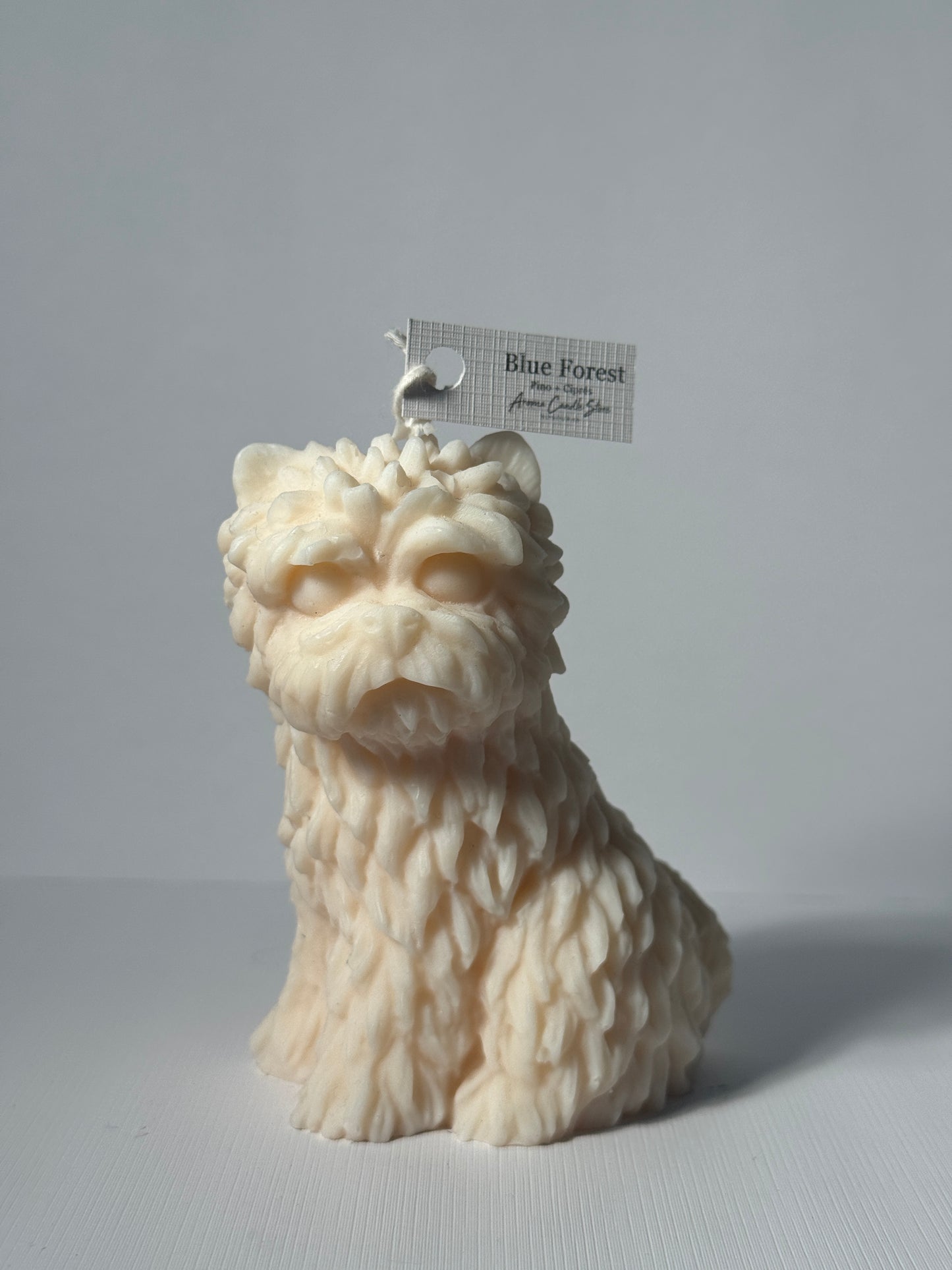 Yorkie M