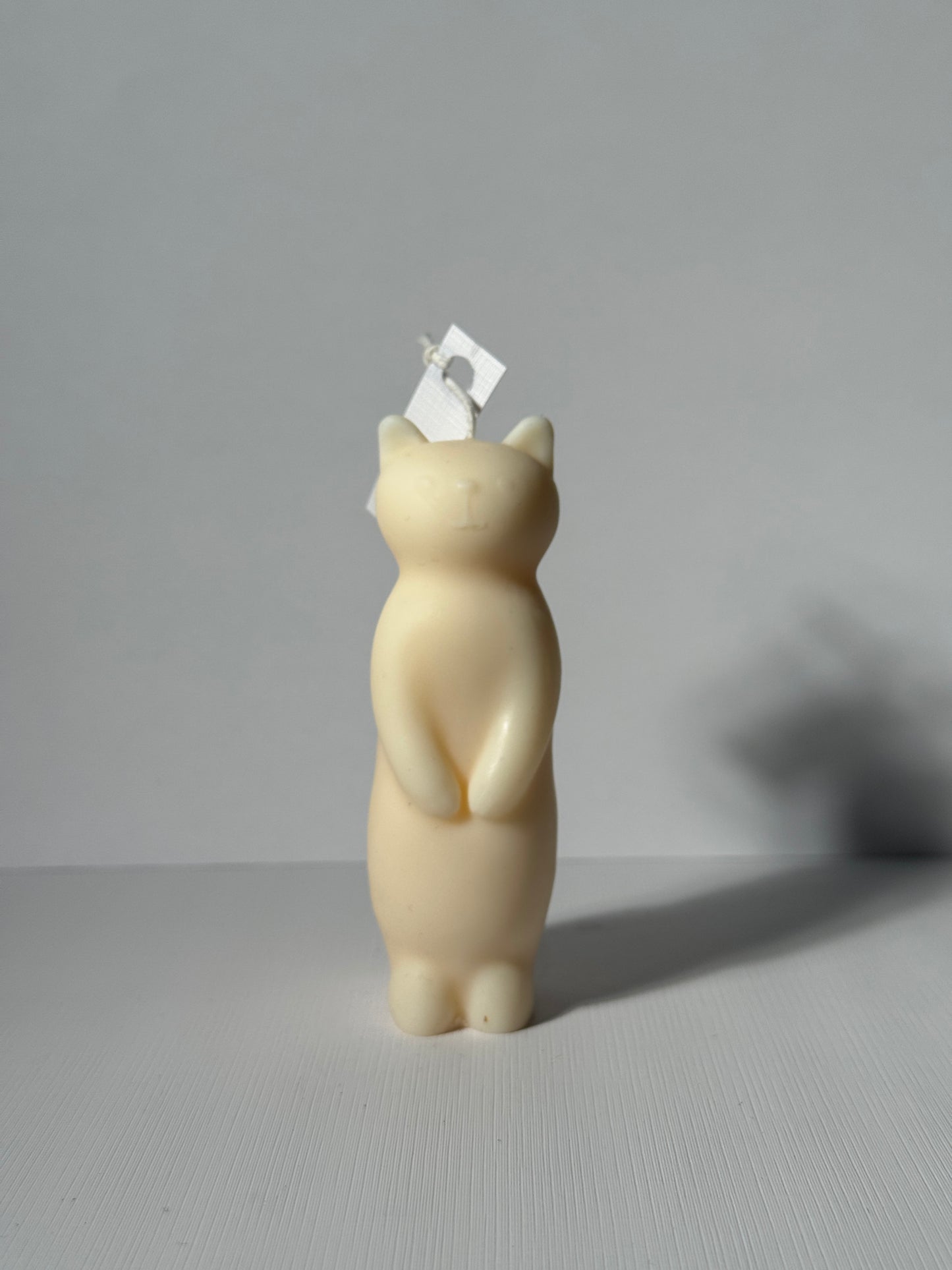 Gato Parado