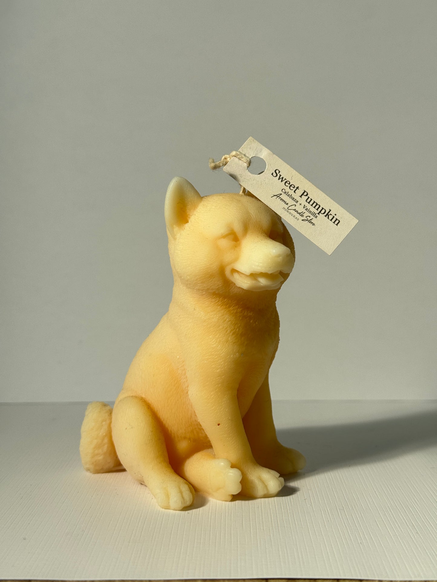 Shiba Inu