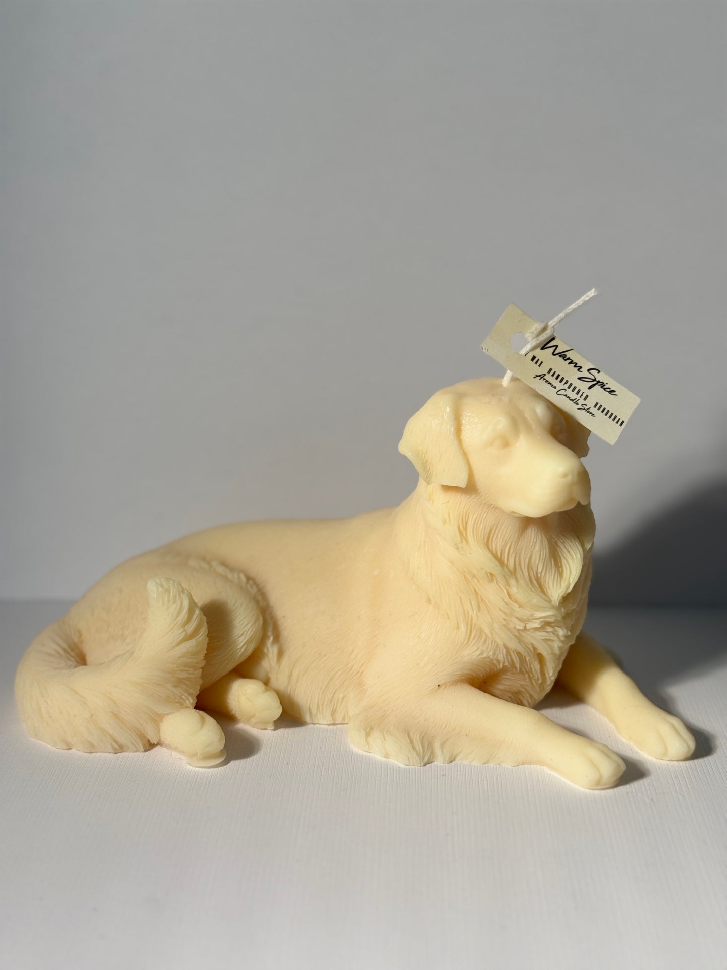 Golden Retriver XL