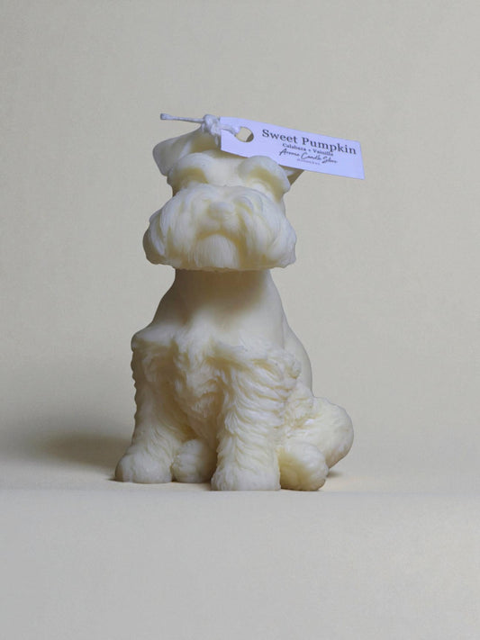 Schnauzer