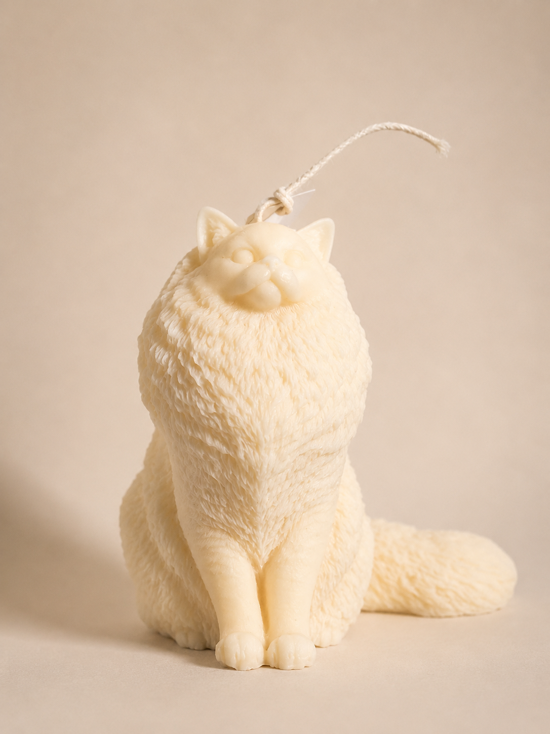 Gato Persa